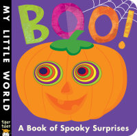 Book cover for Boo!