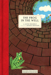 The Frog in the Well 