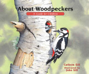 About Woodpeckers 
