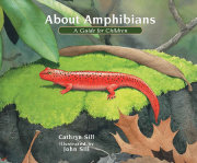 About Amphibians 