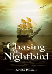 Chasing the Nightbird 
