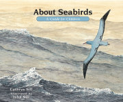 About Seabirds 