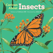 Curious About Insects 