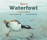 About Waterfowl 