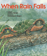 When Rain Falls 