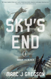 Sky's End 