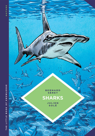 The Little Book of Knowledge: Sharks