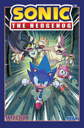 Sonic the Hedgehog, Vol. 10: Test Run! - by Evan Stanley (Paperback)