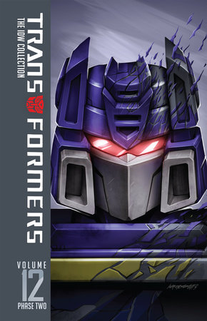 idw transformers reading order