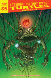 Teenage Mutant Ninja Turtles: Reborn, Vol. 5 - Mystic Sister