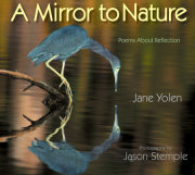 A Mirror to Nature 