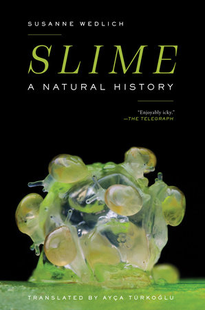 Slime by Susanne Wedlich review: a mind-boggling history of gloop