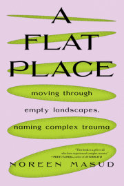 A Flat Place 