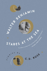 Walter Benjamin Stares at the Sea 