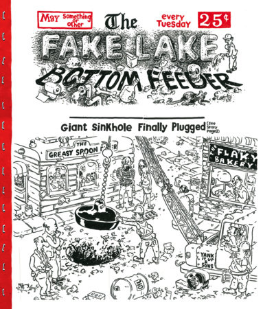 Couverture : Fake Lake