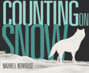 Counting on Snow 