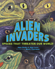 Alien Invaders 