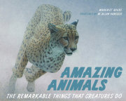 Amazing Animals 