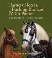 Harness Horses, Bucking Broncos & Pit Ponies 