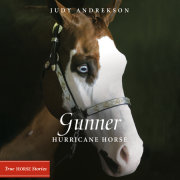 Gunner 