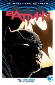 Batman Vol. 1: I Am Gotham (2024 Edition) 