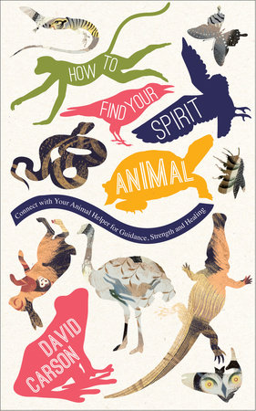 How to Find Your Spirit Animal by David Carson: 9781780288178 |  : Books