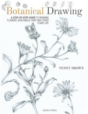 Botanical Drawing 