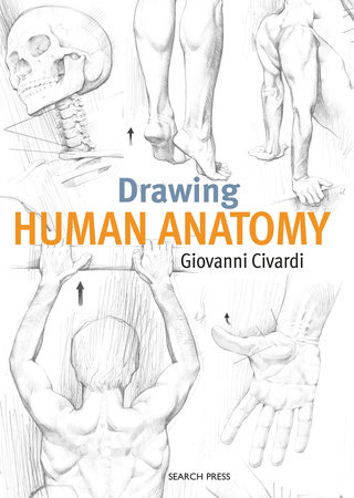 Drawing Human Anatomy