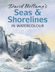 David Bellamy's Seas & Shorelines in Watercolour