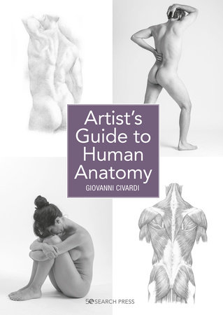 Artist S Guide To Human Anatomy By Giovanni Civardi Penguinrandomhouse Com Books