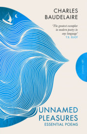 Unnamed Pleasures 