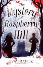 The Mystery of Raspberry Hill 