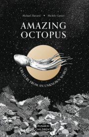 Amazing Octopus 