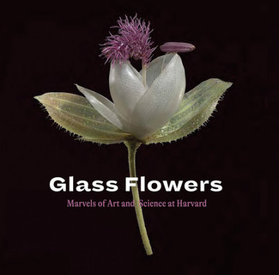 Glass Flowers - Author Jennifer Brown and Scott E. Fulton and Donald H. Pfister, Photographs by Natalja Kent