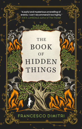 The Book Of Hidden Things By Francesco Dimitri Penguinrandomhouse Com Books
