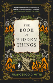 The Book of Hidden Things 