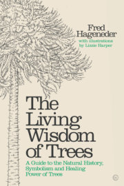 The Living Wisdom of Trees 