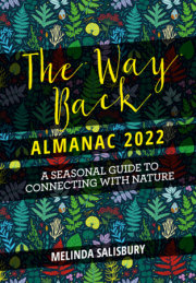 The Way Back Almanac 2022 