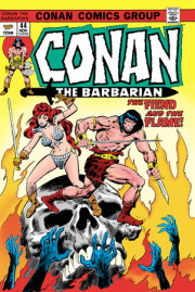 Conan The Barbarian: The Original Comics Omnibus (DM Edition) Vol.2 