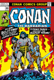 Conan The Barbarian: The Original Comics Omnibus Vol.4 (DM Edition) 