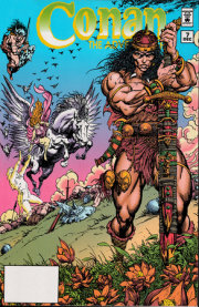 Conan the Adventurer: The Original Comics Years Omnibus Vol. 1 DM Edition 