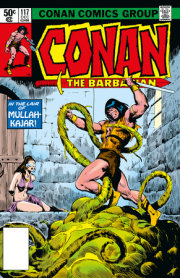 Conan The Barbarian: The Original Comics Omnibus Vol.5 DM Edition 