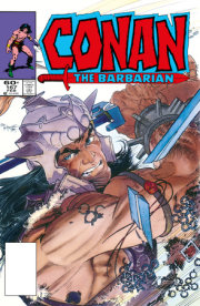 Conan The Barbarian: The Original Comics Omnibus Vol.6 DM Edition 