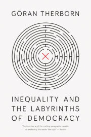 Inequality and the Labyrinths of Democracy 