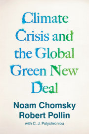 Climate Crisis and the Global Green New Deal 
