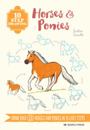 10 Step Drawing: Horses & Ponies 