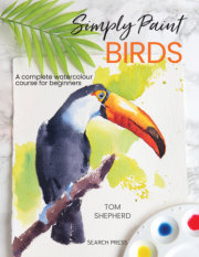 Simply Paint Birds 