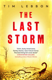 The Last Storm 