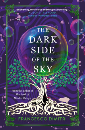 The Dark Side of the Sky by Francesco Dimitri: 9781803362786