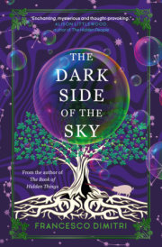 The Dark Side of the Sky 